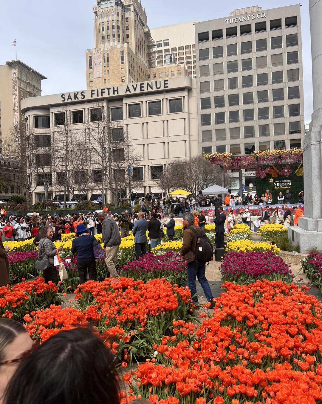 Last Saturday, the Sun Valley Team had a wonderful trip to San Francisco for Tulip Day! Thousand of people flocked to Union Square to pick our tulips with friends and family. Thank you SF for an amazing experience and the opportunity to share our tul