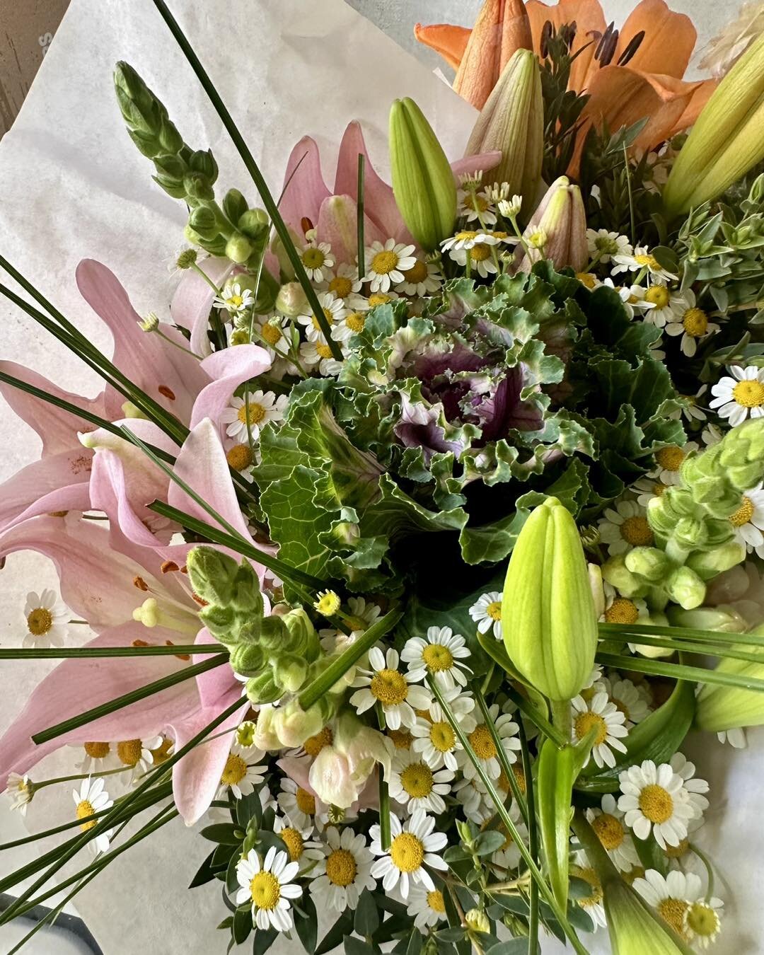 Hello Spring! 🌱☀️🦋

Our spring crops make quite the bouquet 💐 Enjoy the sneak peek 👀 

#icanbuymyselfflowers #Springflower #sunvalleyfloralfarms #california #FloralElegance #sunvalley #flowers #NatureInspired #NatureInBloom #flowerfeeling #lilies