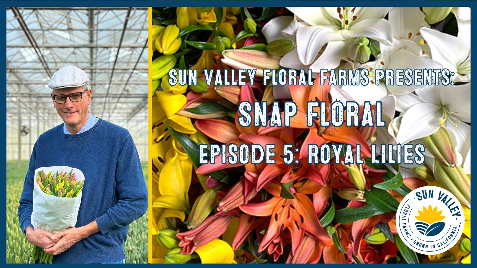 Announcing the arrival of Royal Lilies in Snap Floral Episode 5! 🌟👑 CEO Lane DeVries presents the allure of Royal Lilies from Sun Valley. Ready to adorn your inventory with these botanical treasures? Connect with your dedicated sales rep today and 