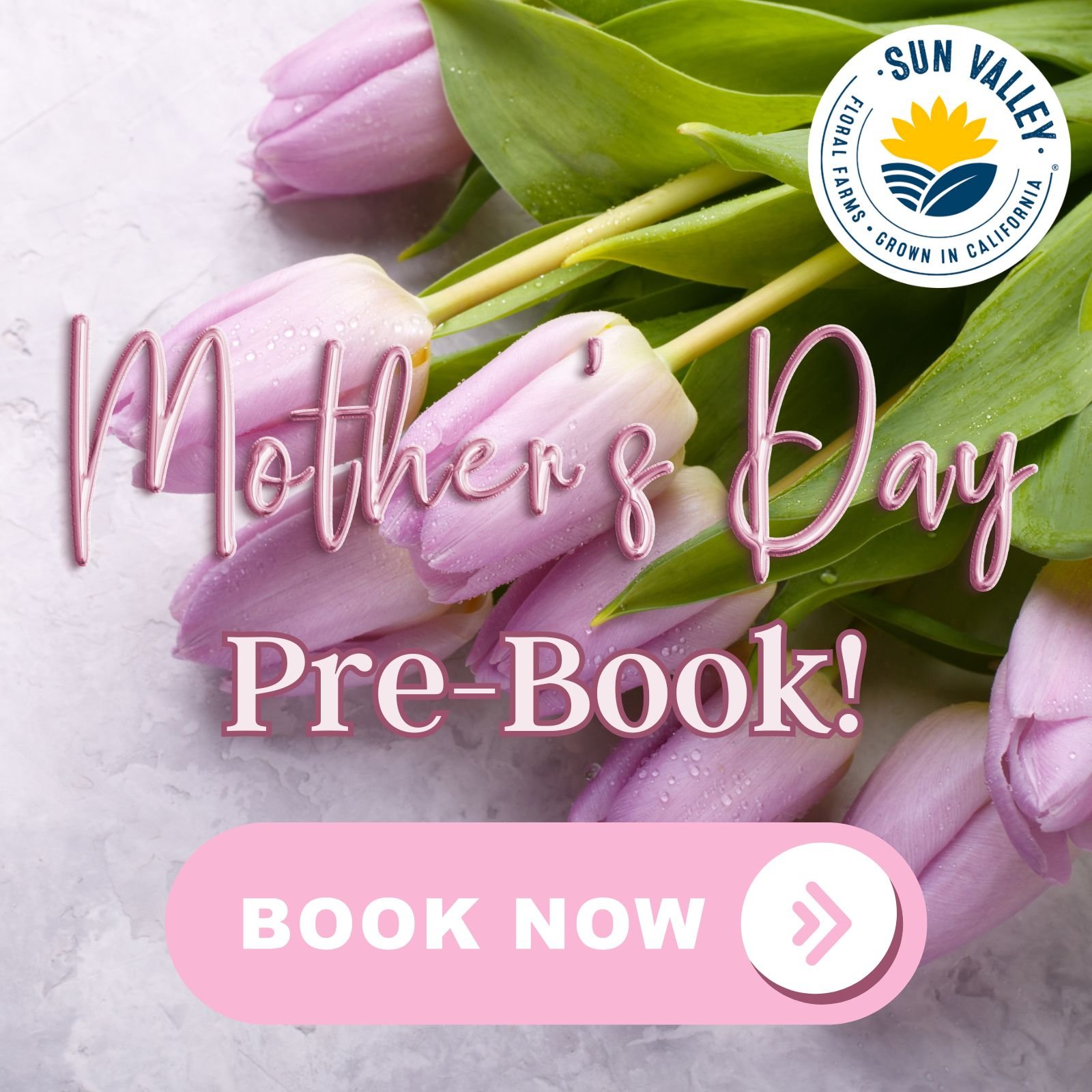 Mother's Day Pre-Book is ending soon! We have all your favorite butterflies, tulips, lilies and much more available to pre-order before largest floral holiday of the year.

Take the stress out of ordering for Mother's Day by calling your favorite Sun