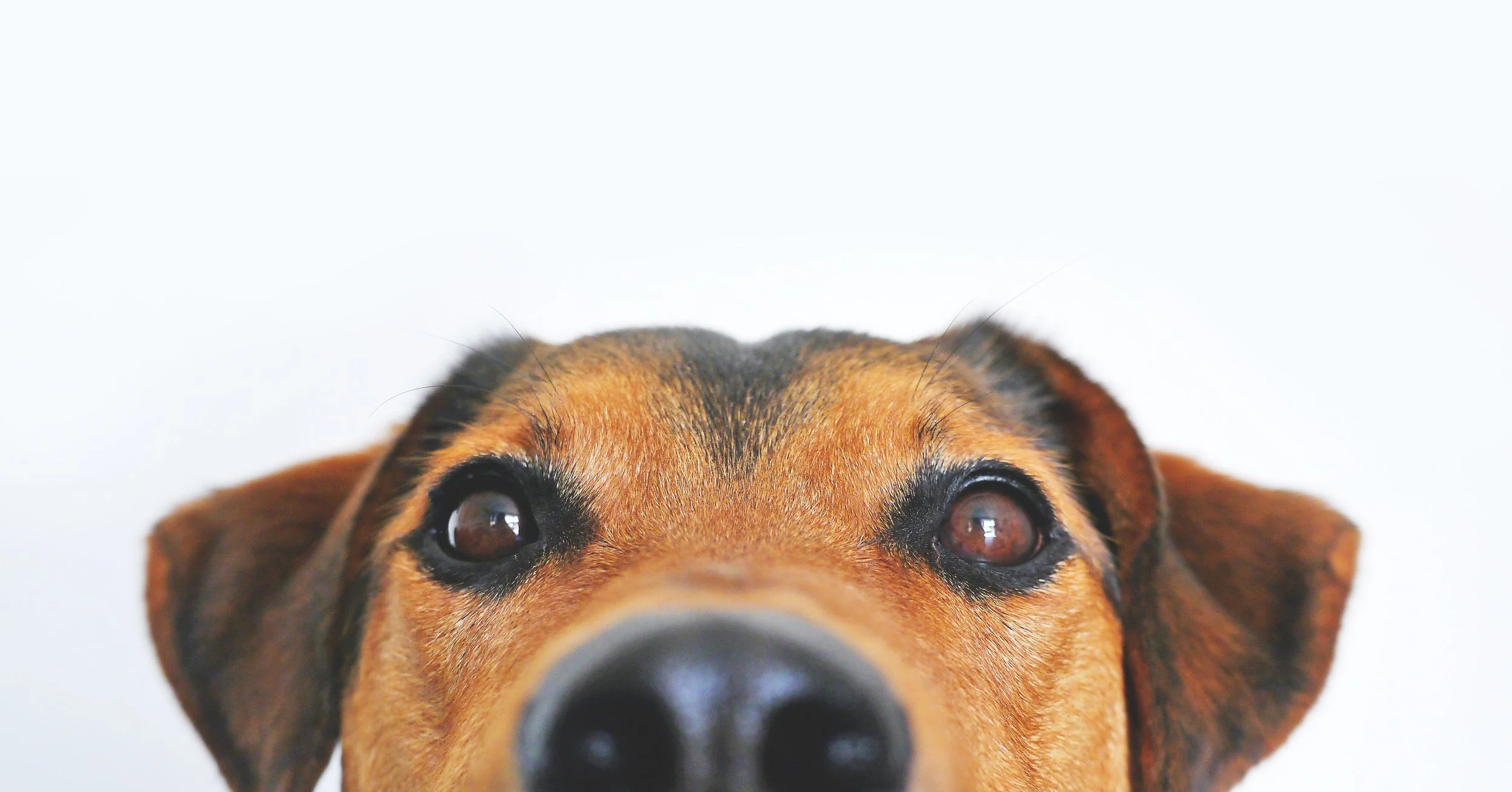 When Positive Reinforcement Isn't Enough
