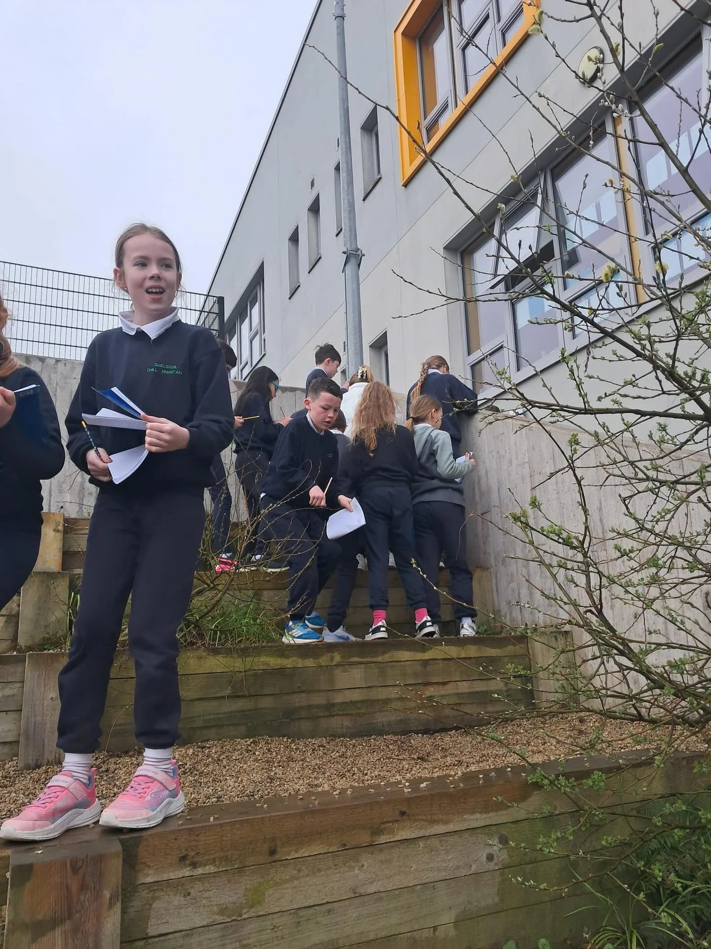 Rang 3 ag &uacute;s&aacute;id a scileanna treod&oacute;ireachta leis an si&uacute;l&oacute;id ghn&iacute;omhach. 
Rang 3 using their orienteering skills with our active walkway. They identified flags, letters and patterns.