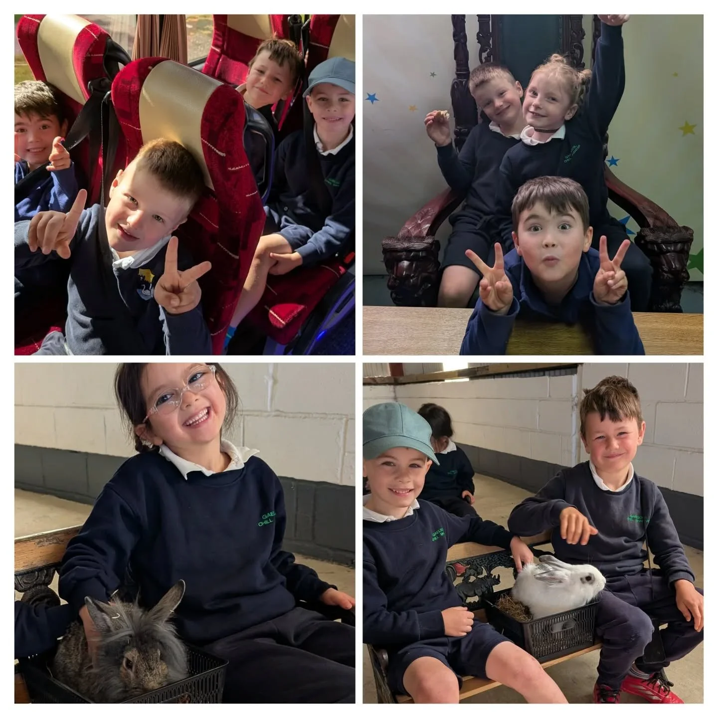 Imeachta&iacute; Na&iacute;on&aacute;in Bheaga Niamh le