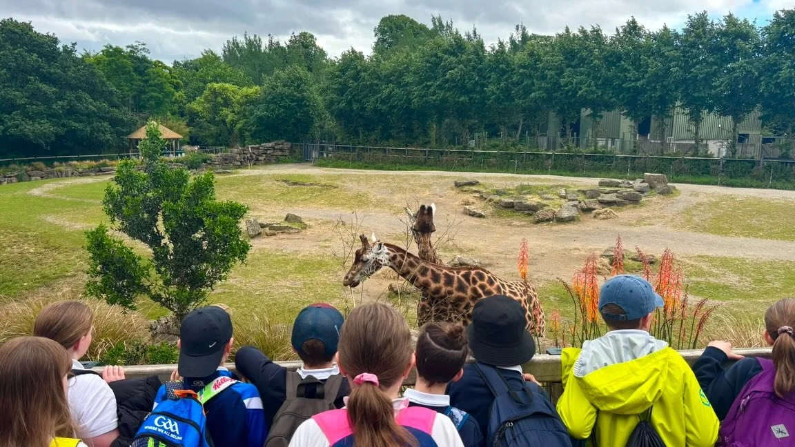 Turas Scoile Rang a 4 sa z&uacute;! 🐘🐒🦓
