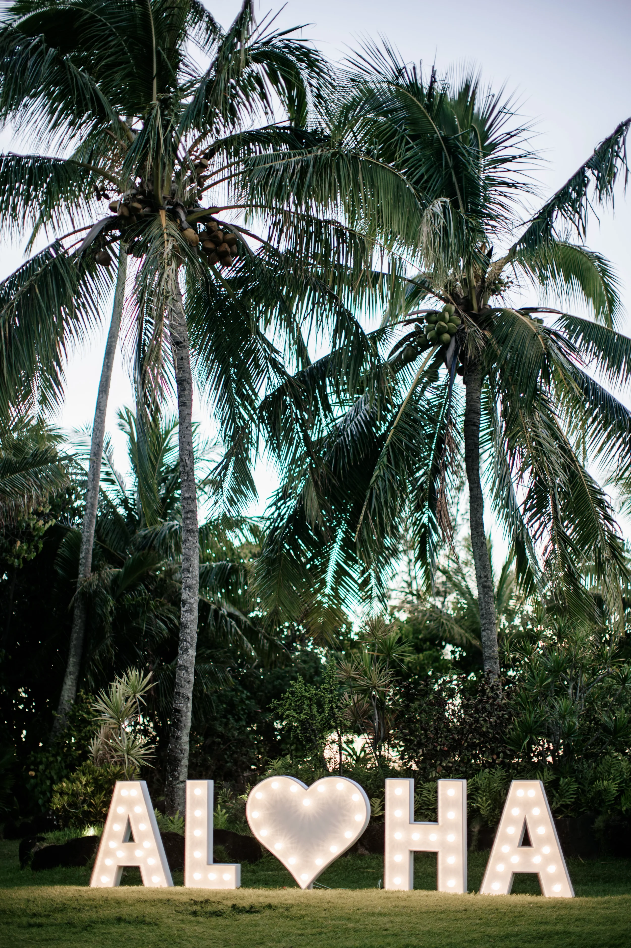 hnlstudios-loulu-abcweddings-hawaii-wedding-570774.webp