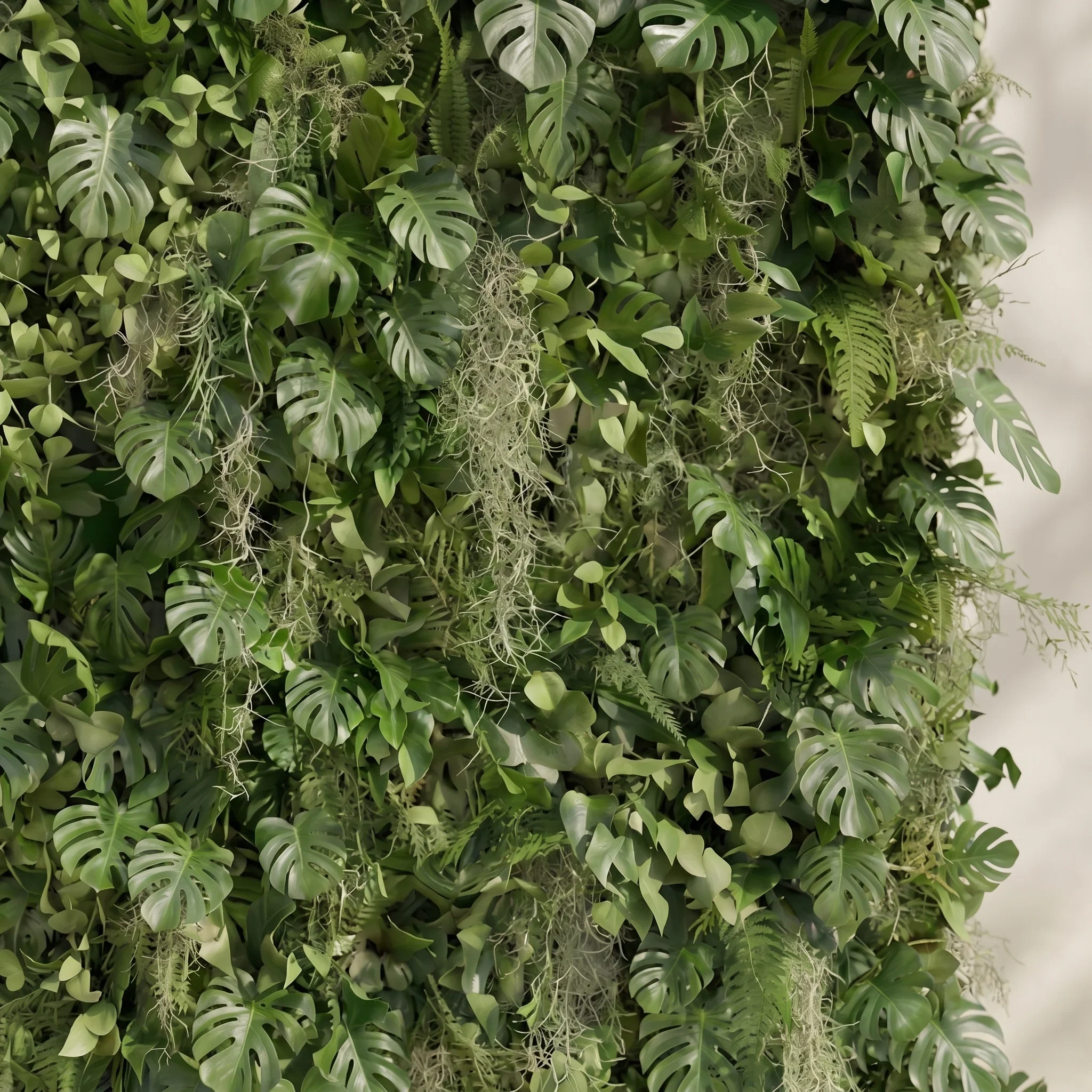 Raelira-detail-3.webp