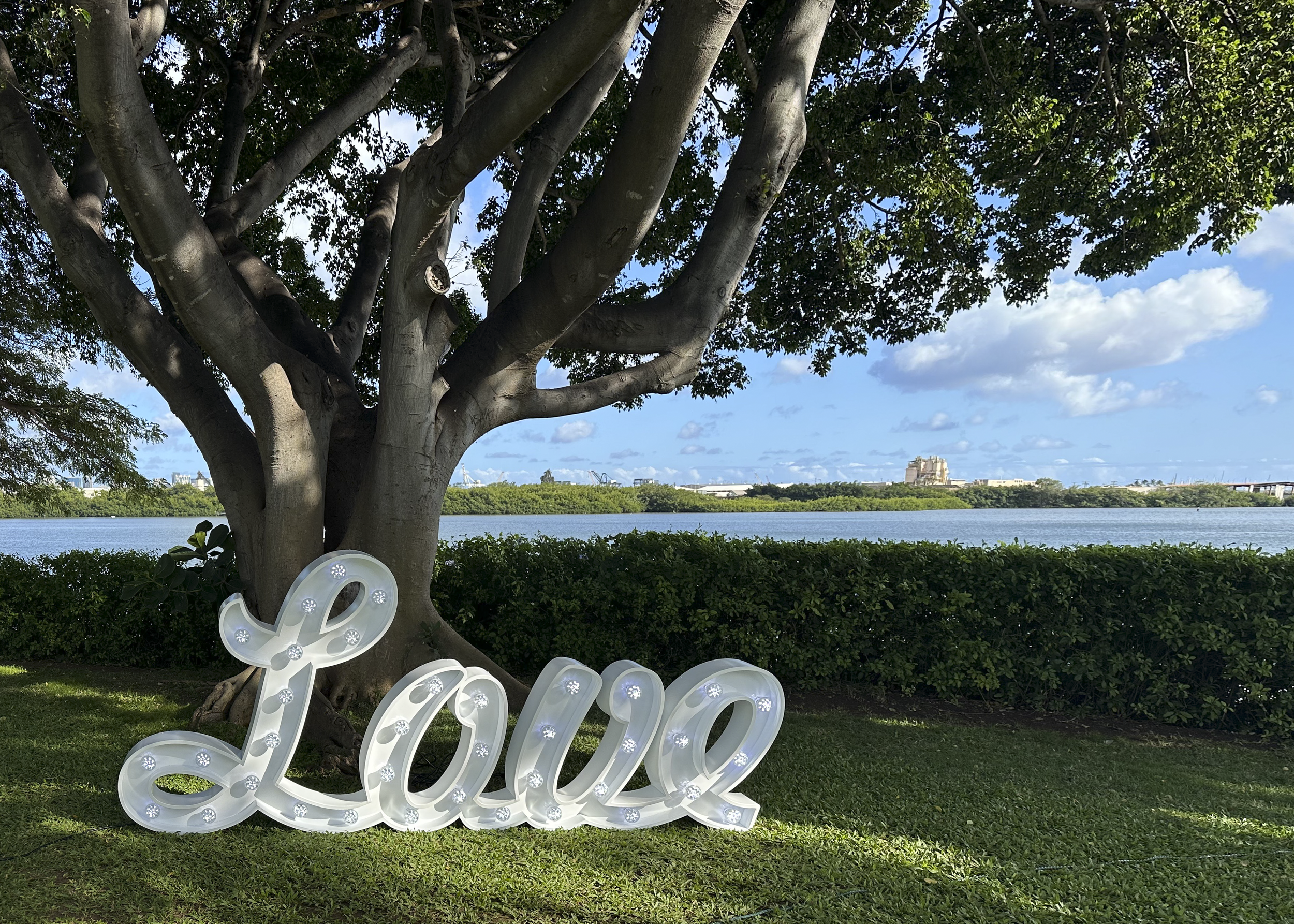 Designed-With-Aloha-Arches--40.png