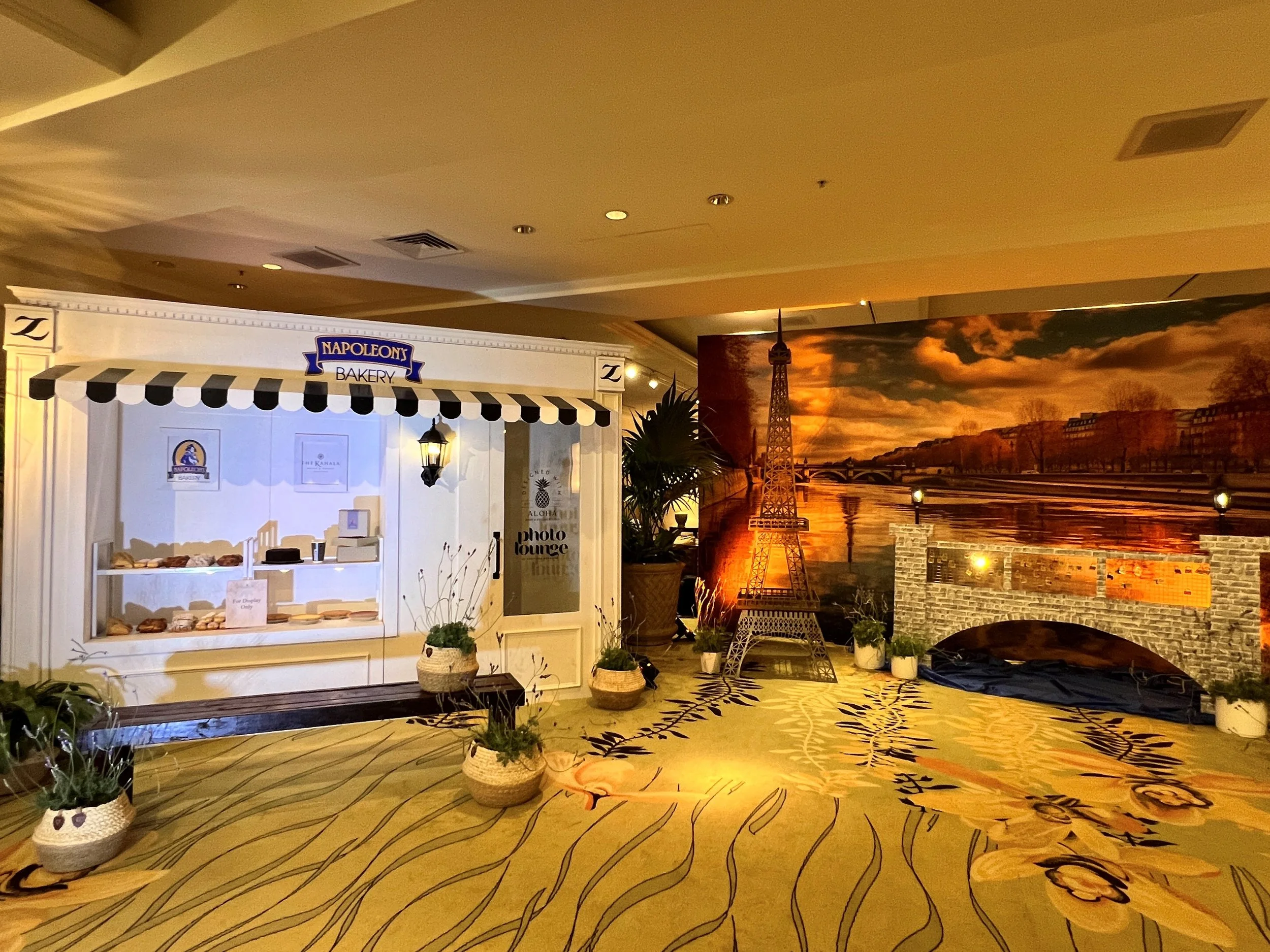 Backdrop1.jpg