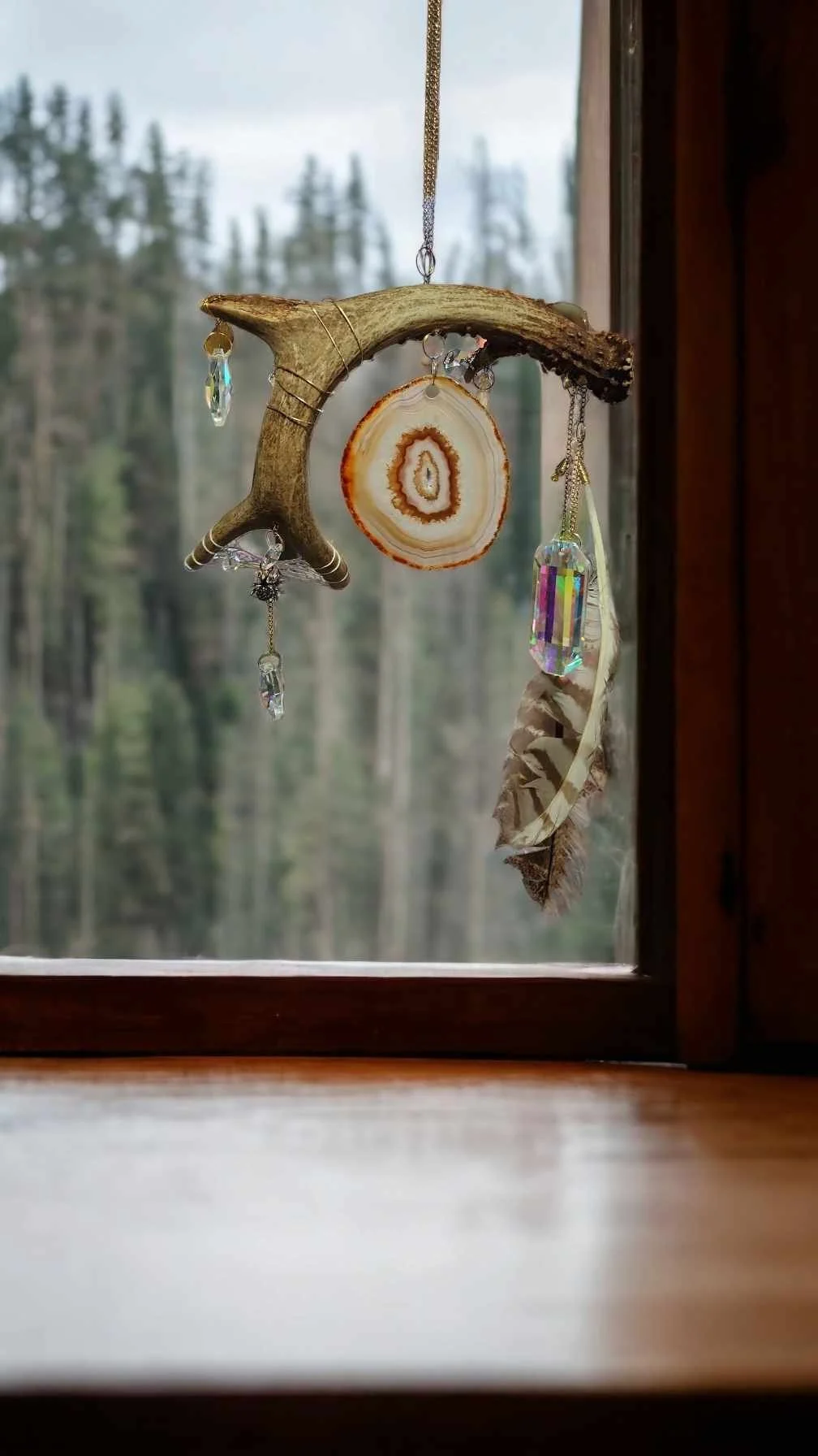 Whimsical Dreamer