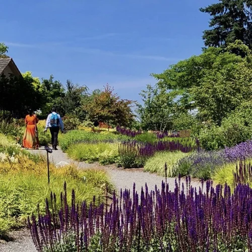 Bellevue Botanical Gardens