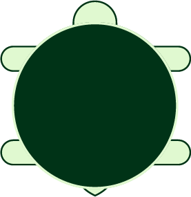 Terrapin Logo