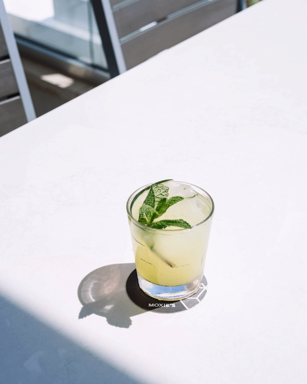 Moxies.gif