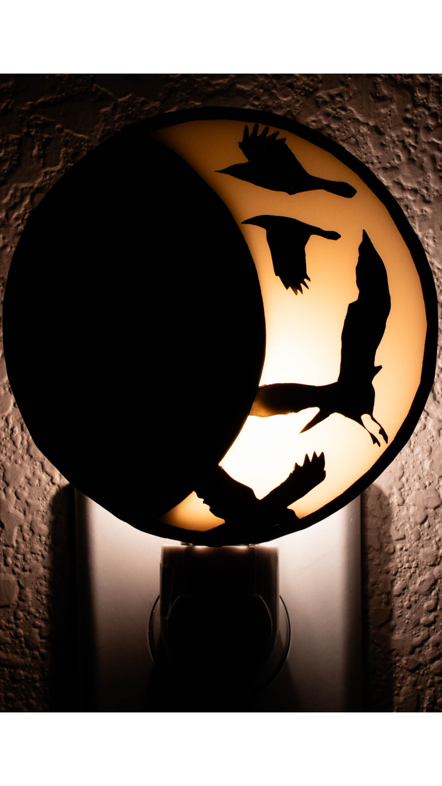moon with crows on nightlight squarespace resize.png
