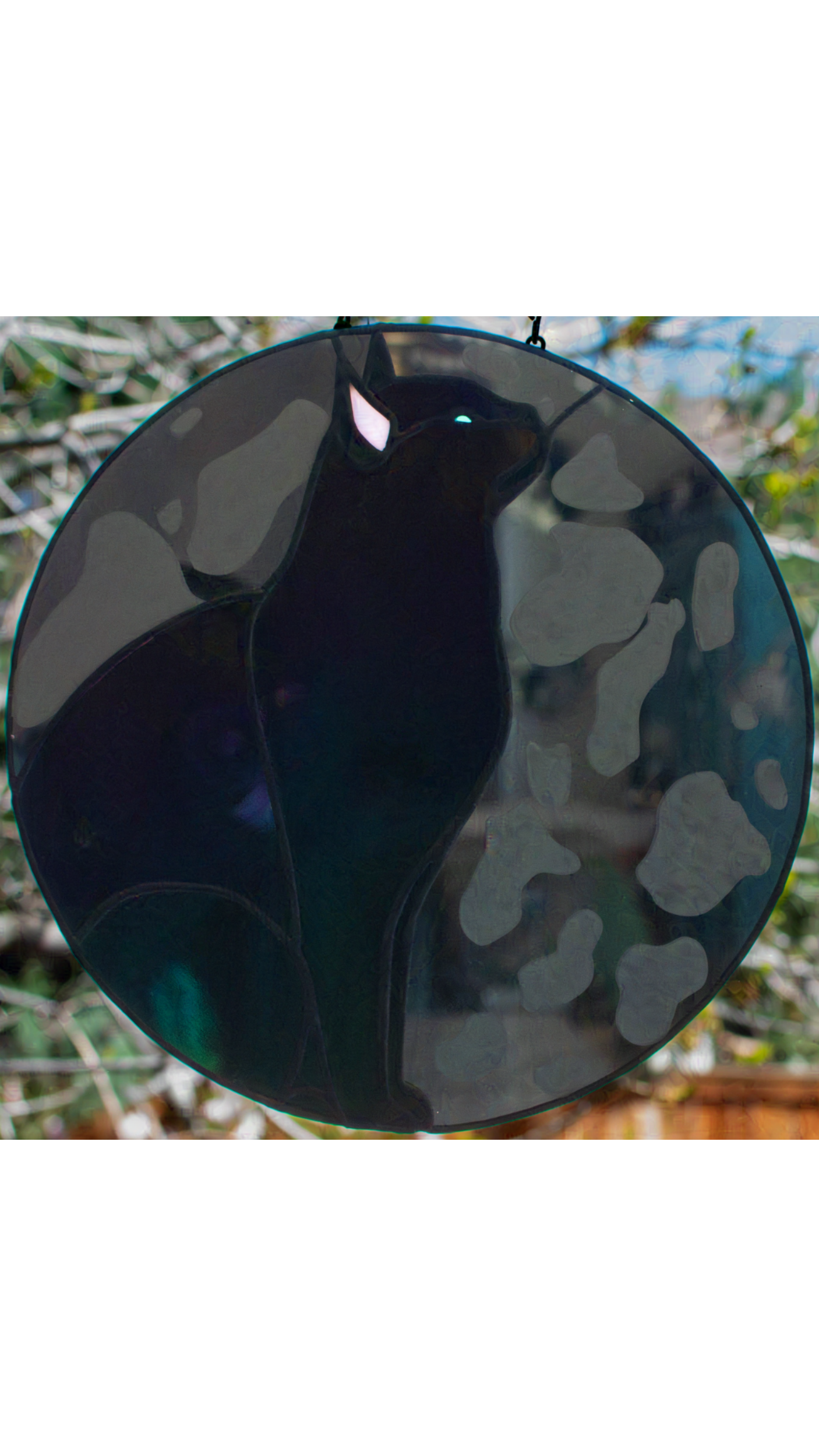 irr_cat_mirror_square_resize-nightshade_V1.png