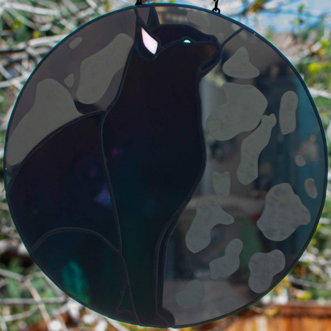 irr_cat_mirror_instagram_resize.png