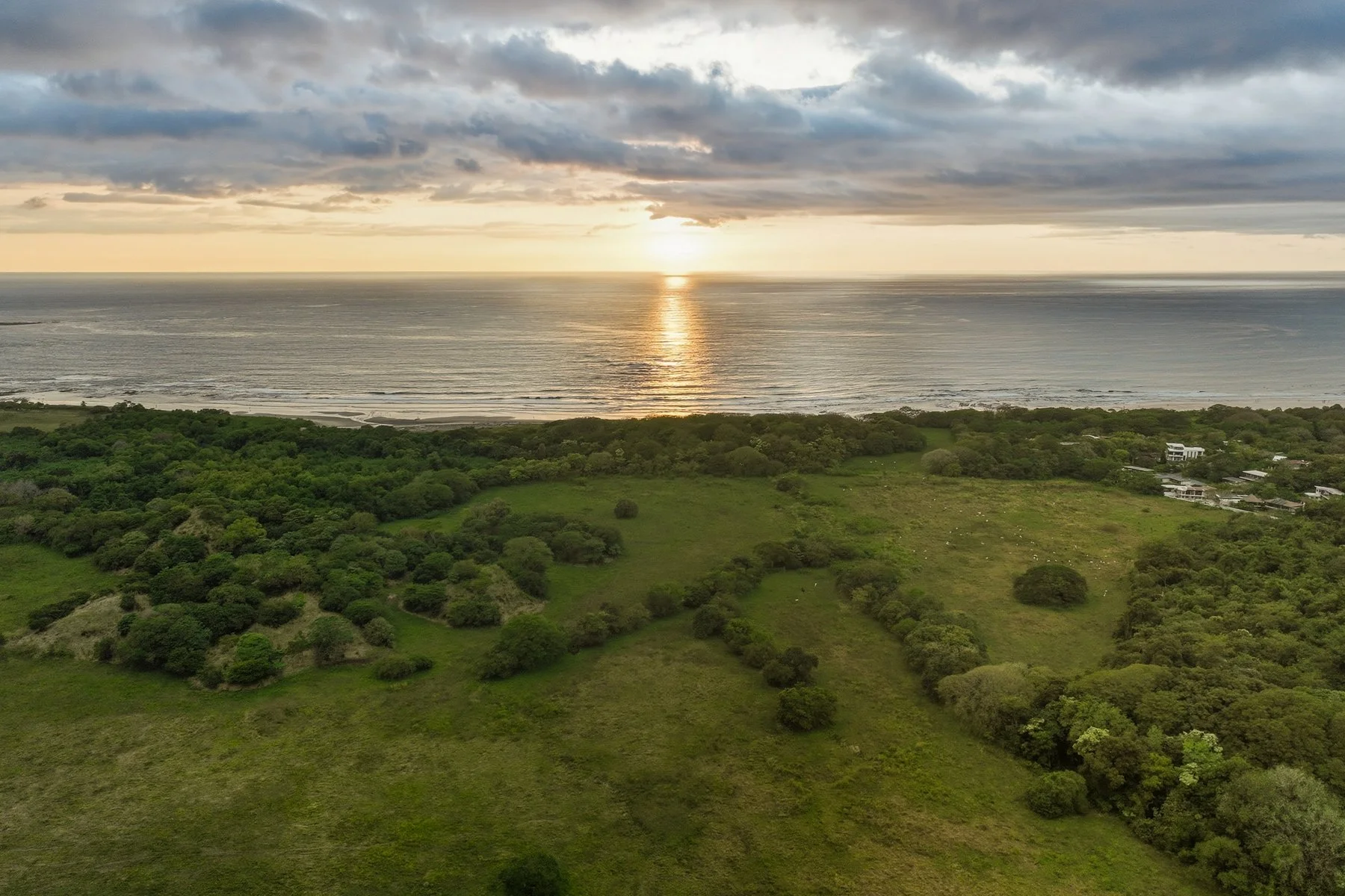 Tres Palmas-15.jpg