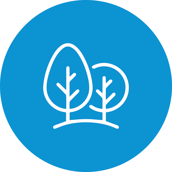 Lifestyle, Habits & Movement