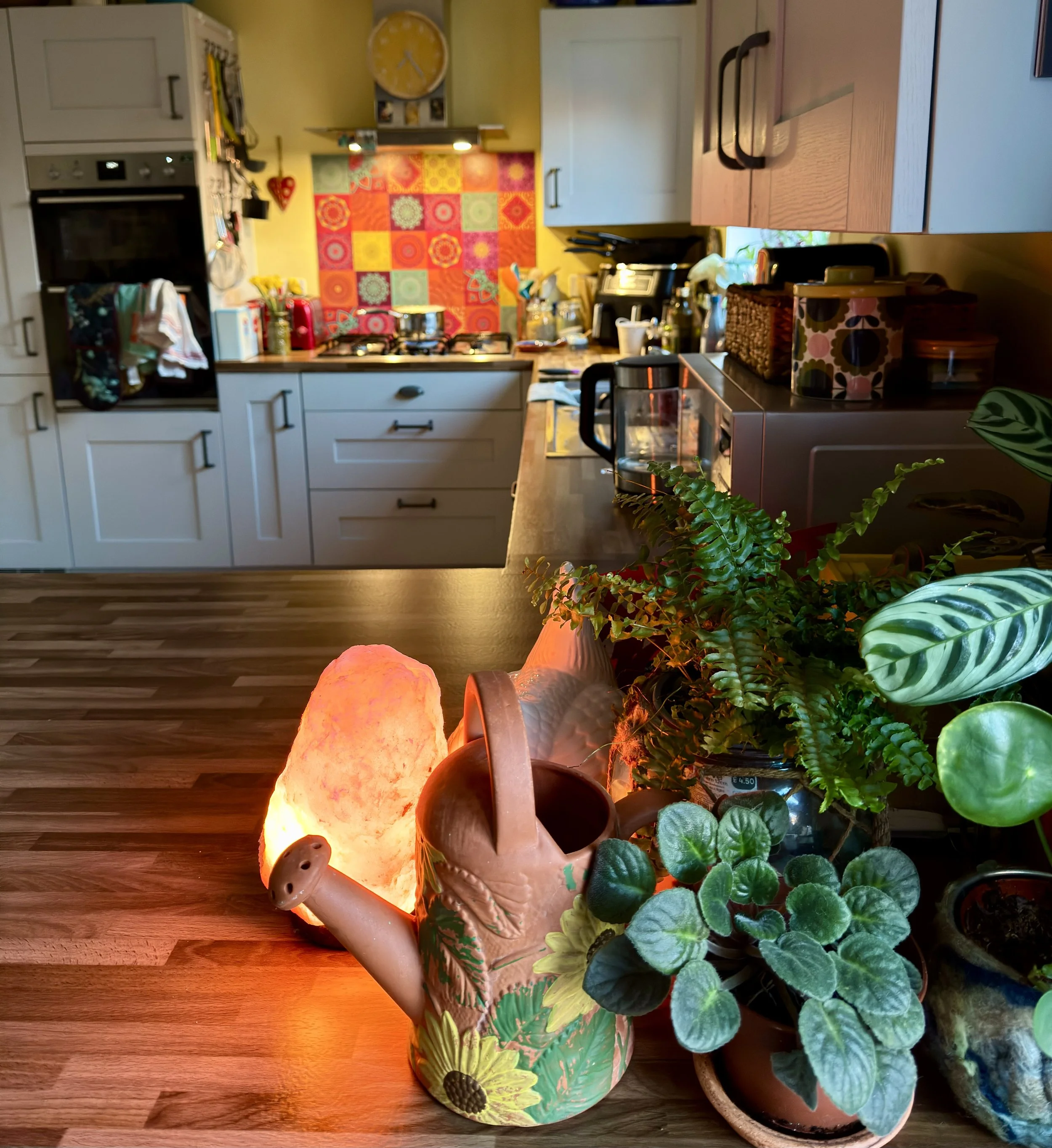 Bright kitchen with yellow walls, colourful backsplash tiles, and plants