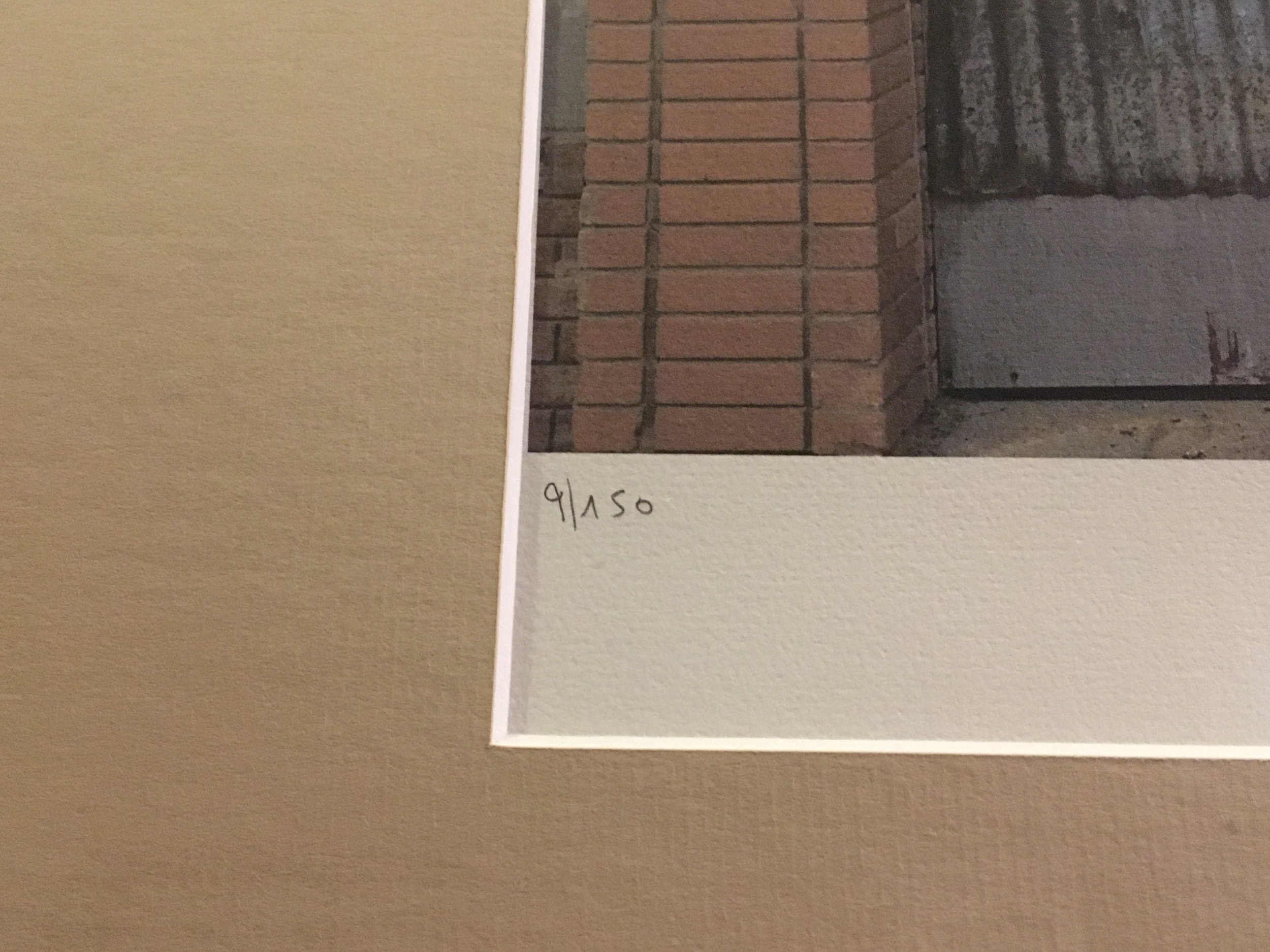 IMG_8104.jpeg