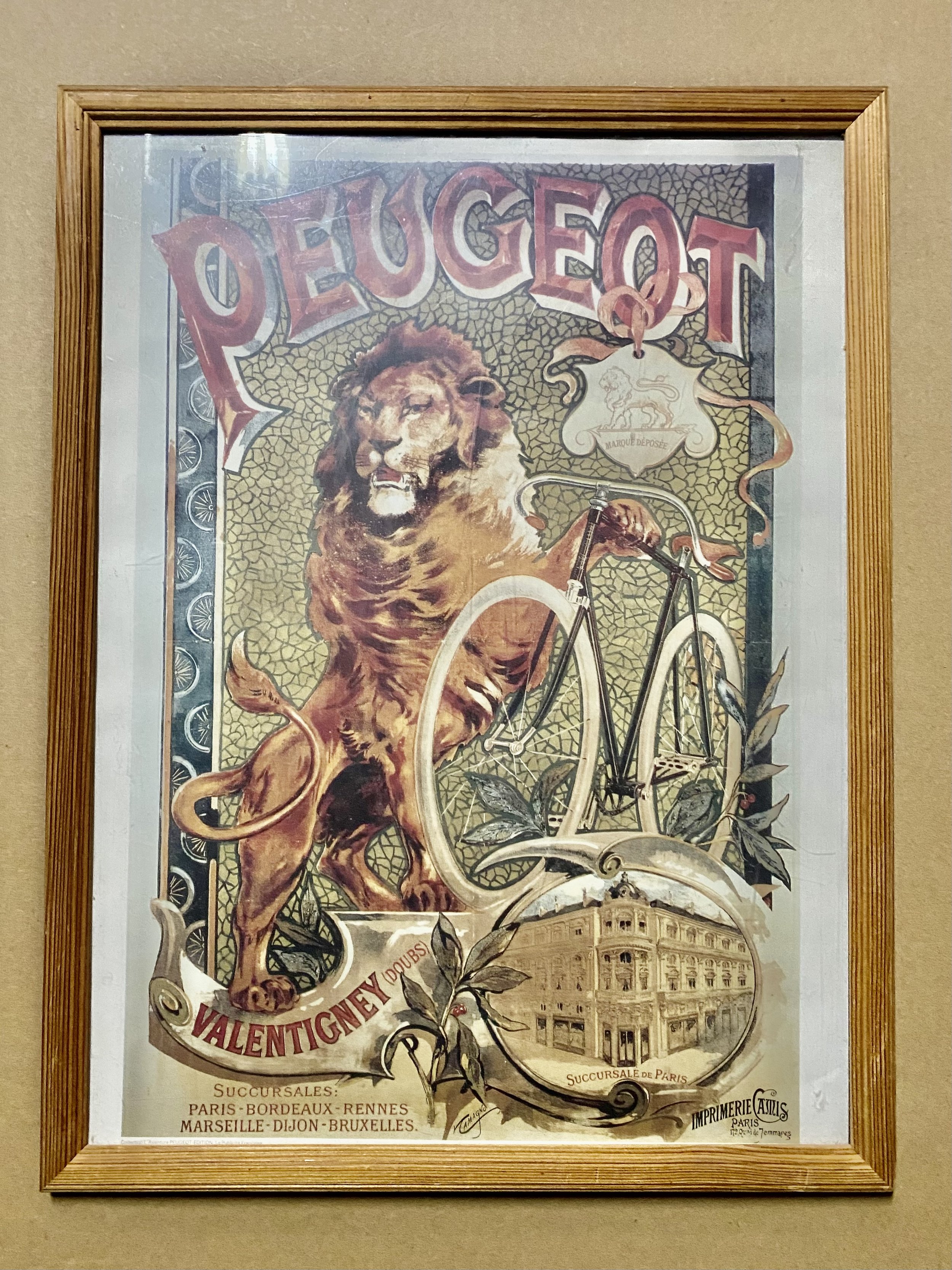 IMG_1021.jpeg