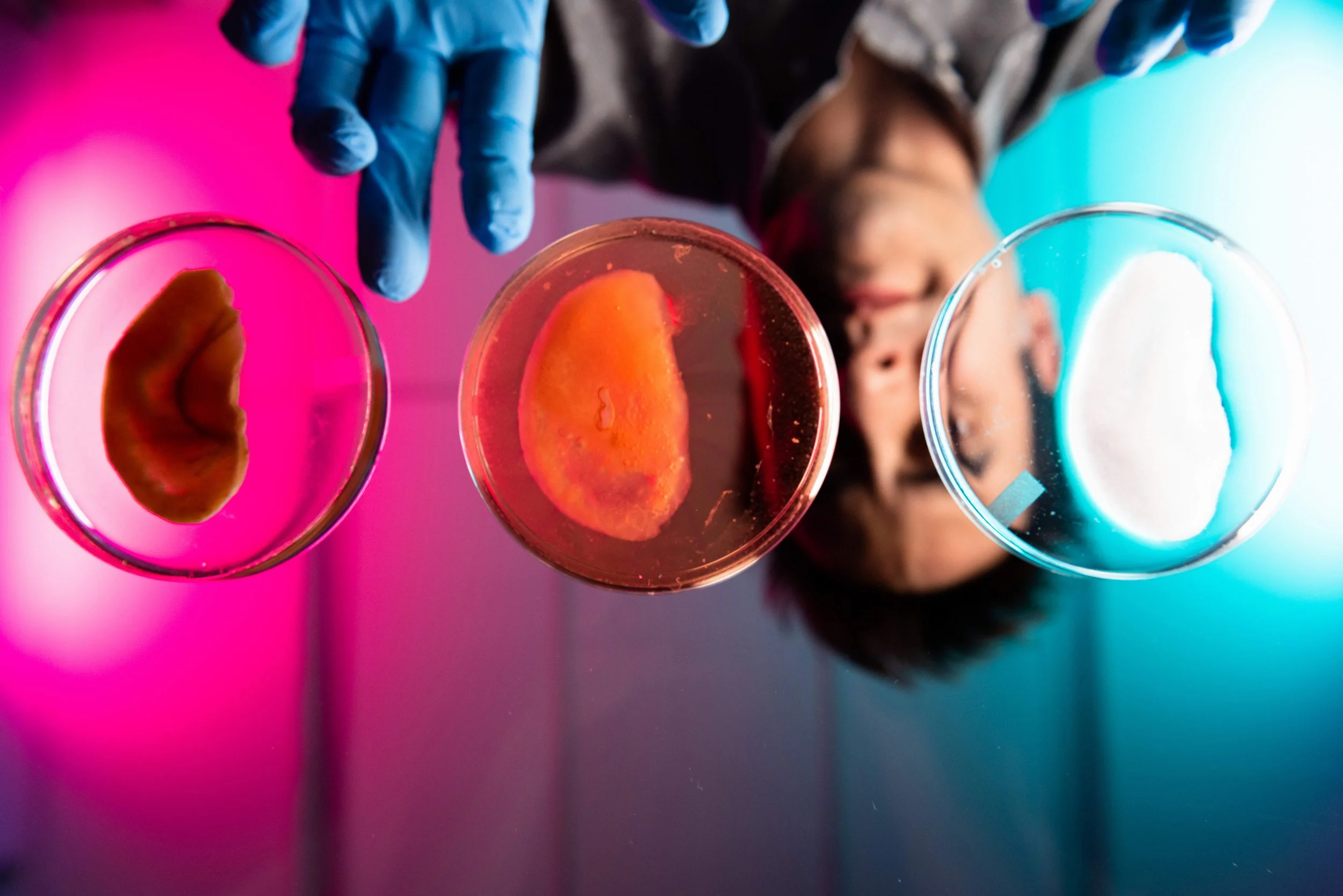 Andrew Pelling-20 1-00.jpg