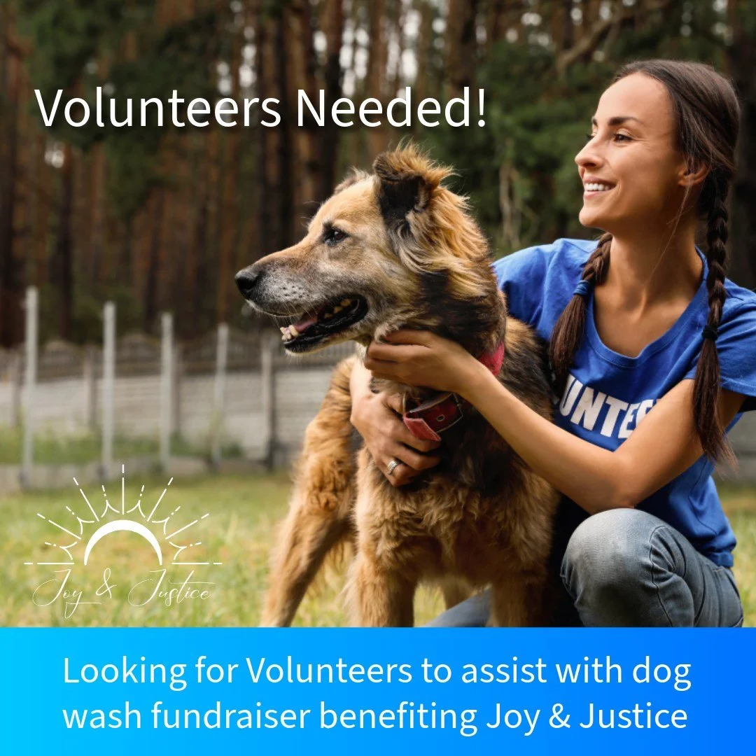 VOLUNTEERS NEEDED! 
We are in need of volunteers to help out Dog Wash Fundraiser even run smoothly, requirements below:
*18 yrs.+ 
*likes to be around dogs and people
*willingness to roll up your sleeves and help

Volunteers will be assisting profess