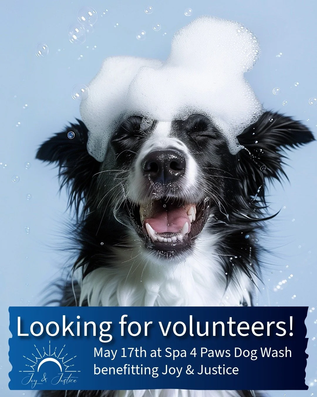 🐾 Volunteers Needed! 🐾

Join us for the upcoming Dog Wash hosted by Spa 4 Paws benefiting Joy &amp; Justice!

We&rsquo;re looking for volunteers to help guide pups to and from their baths while professional groomers handle the washing. It&rsquo;s a