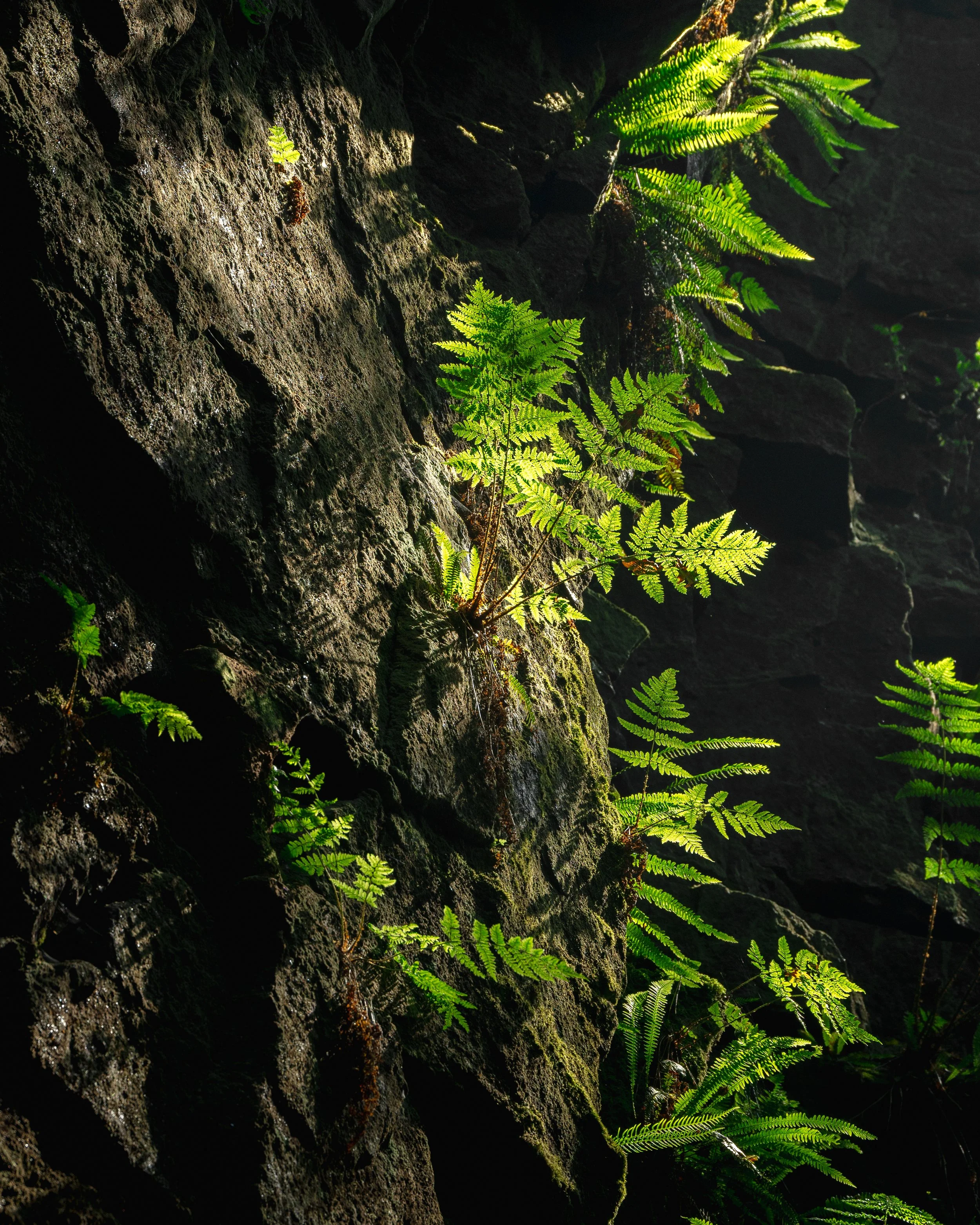 _DSC9913.jpg