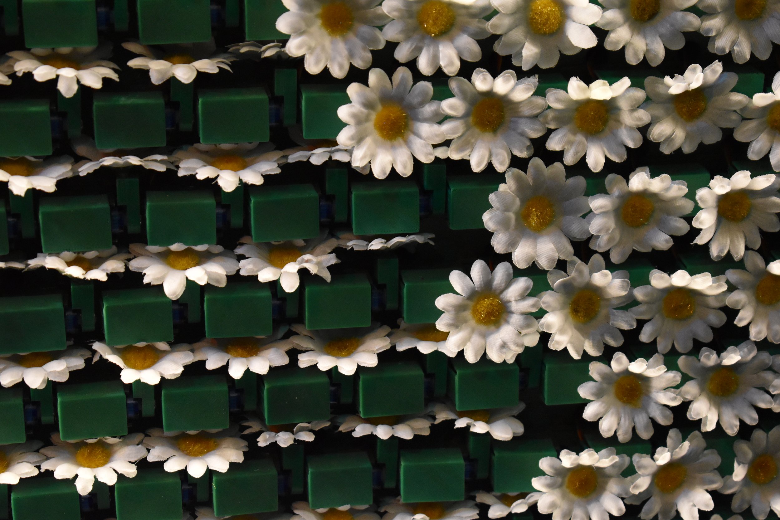 Flowers Close.jpeg