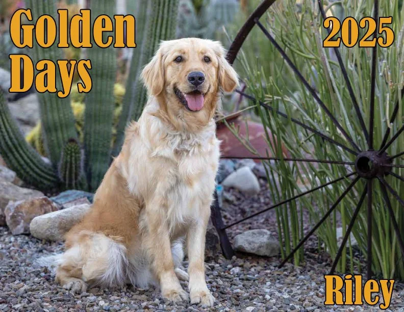 2025 SAGRR Calendar