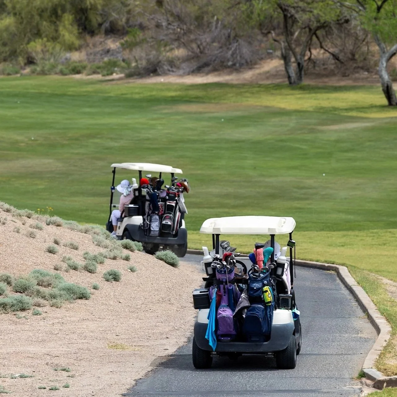 GolfCarts.jpg