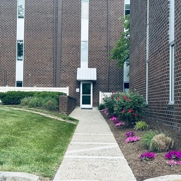 The entrance at the back of the building. At the end of this pathway, take a right. 