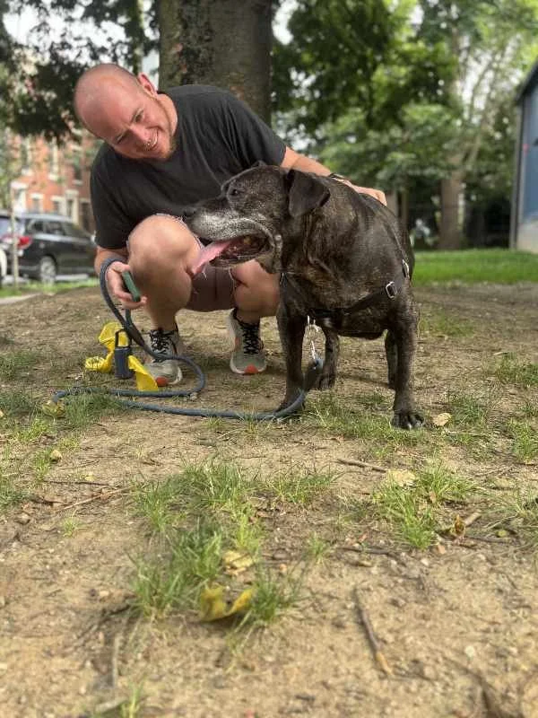 Eben petting an old black dog that's panting, under a tree