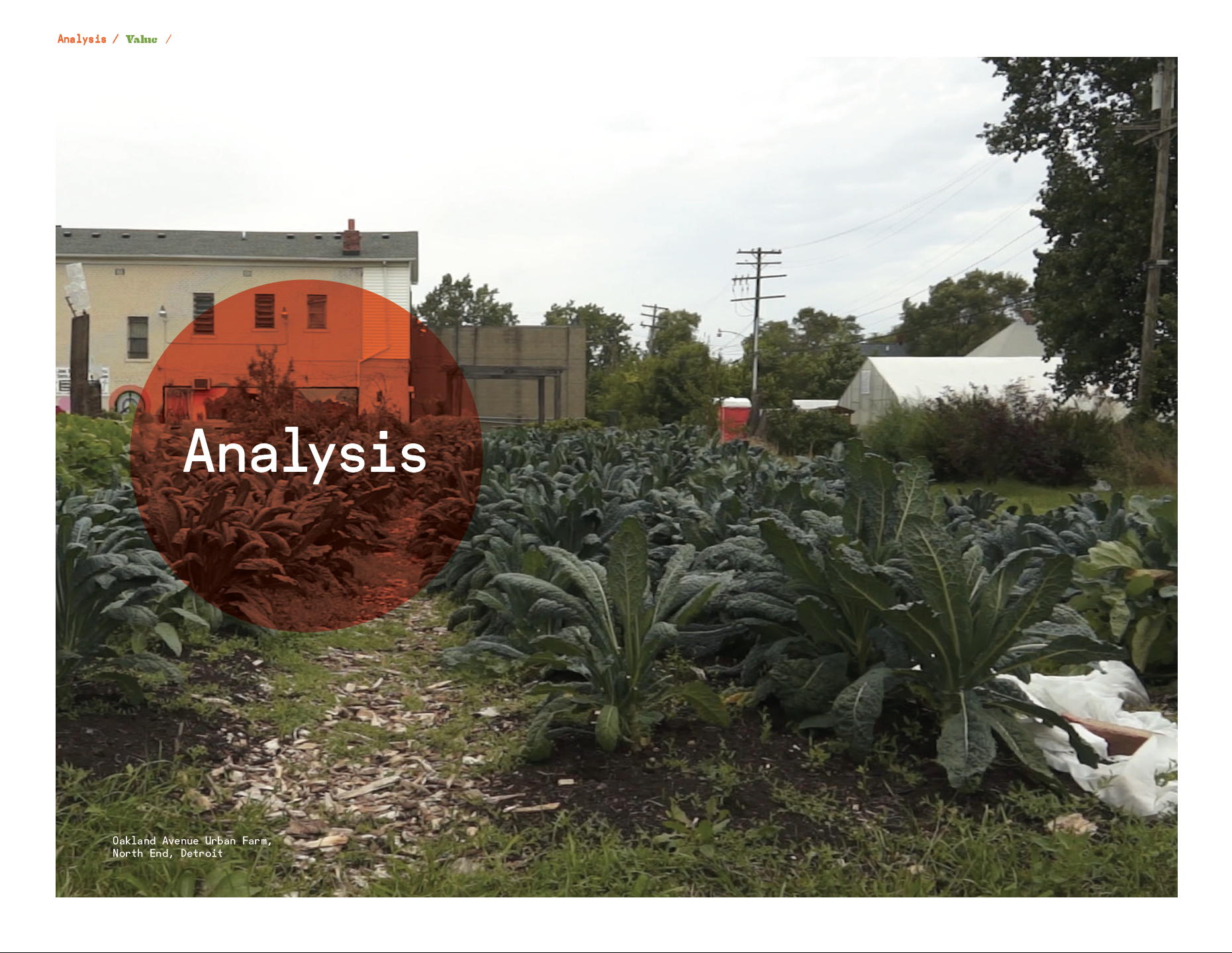 Screen Shot 2018-08-16 at 3.46.07 PM.png