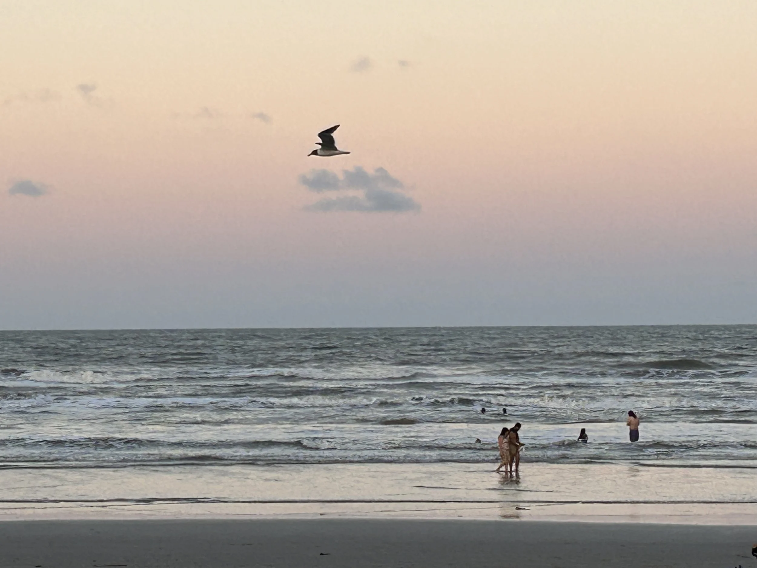 Gulf beach of Padre Island TX