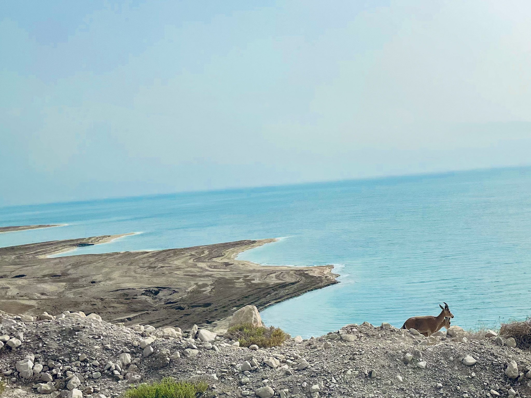 IMG_4005-Edit copy.jpg