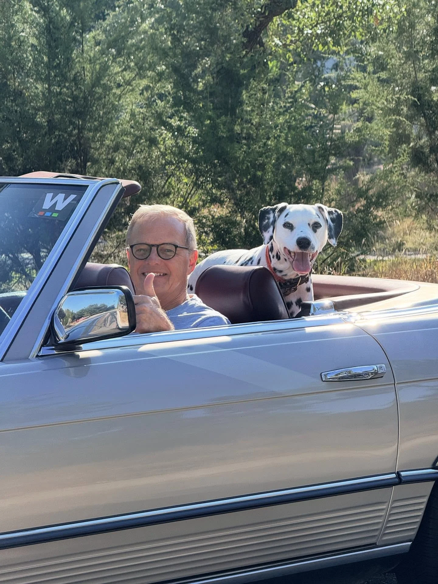 Grand dog Lincoln checking the mail with Baba.