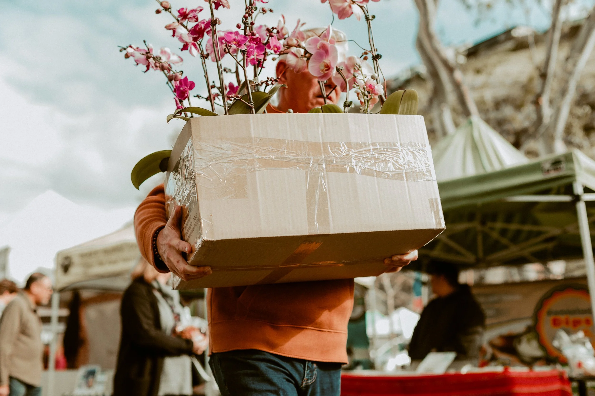 Person holding a box with pink orchids at an outdoor market