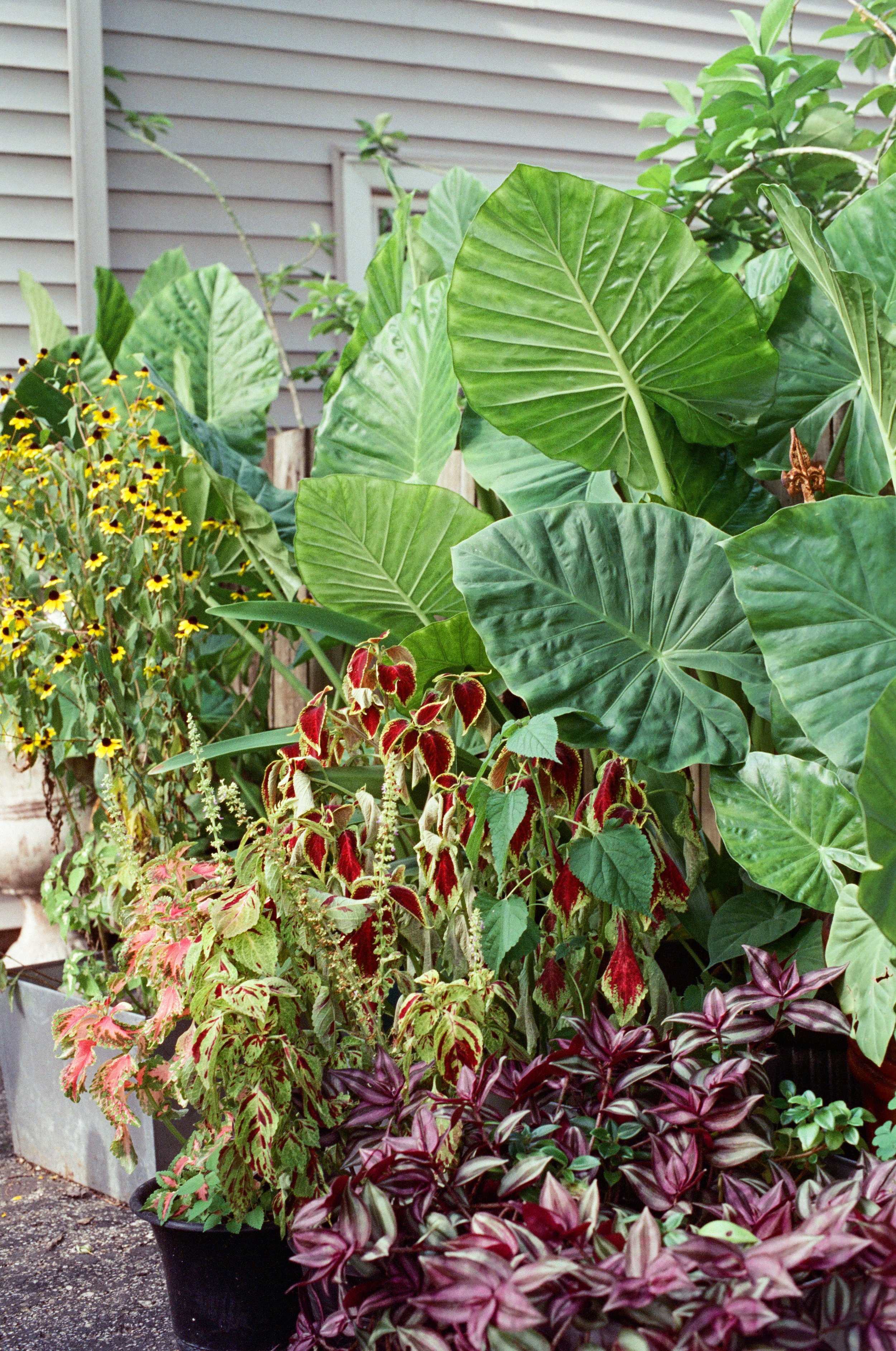 6085 09252024 1-036.jpg