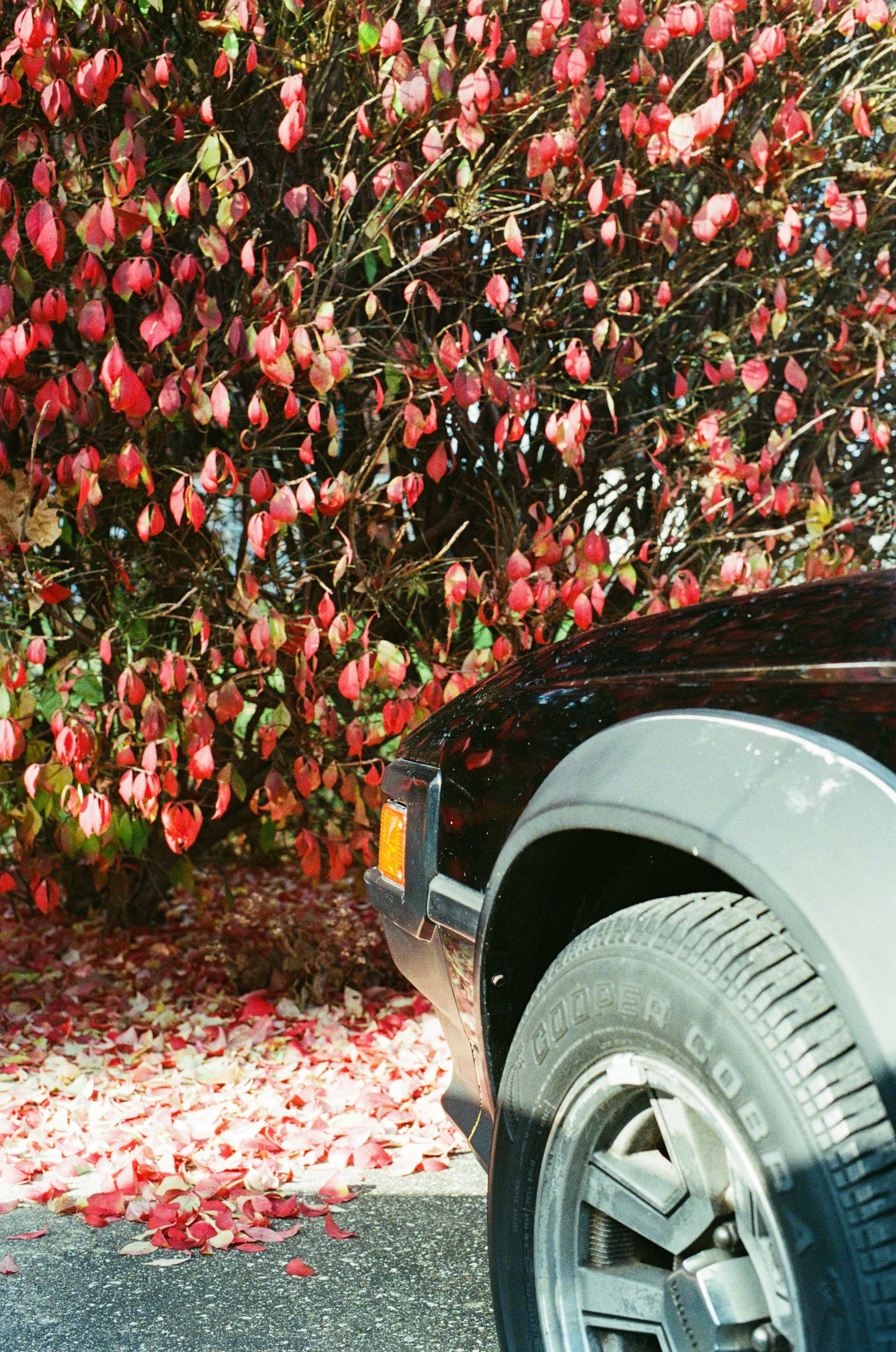 14757 06302025 2-019.jpg