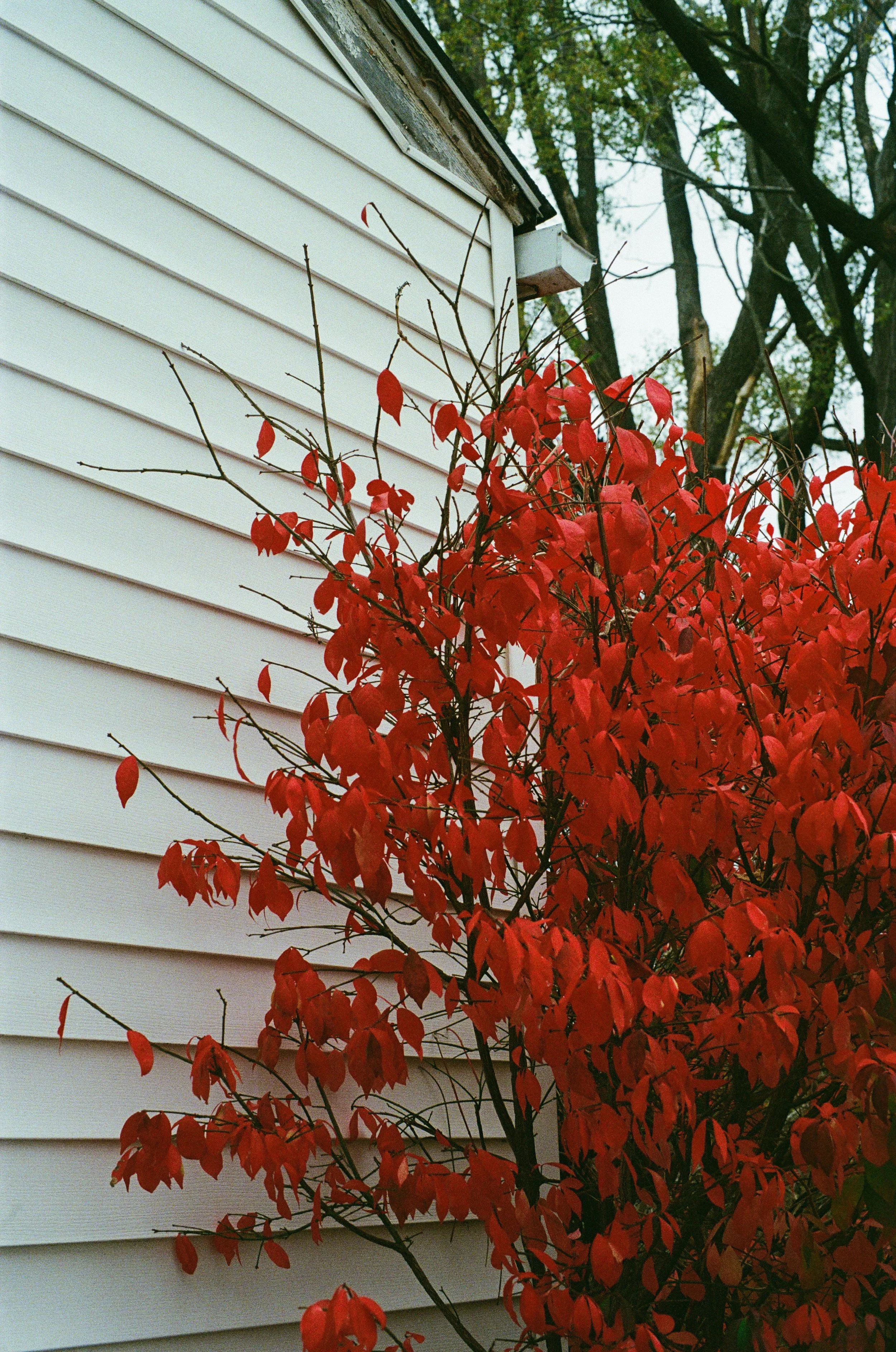 14757 06302025 2-015.jpg