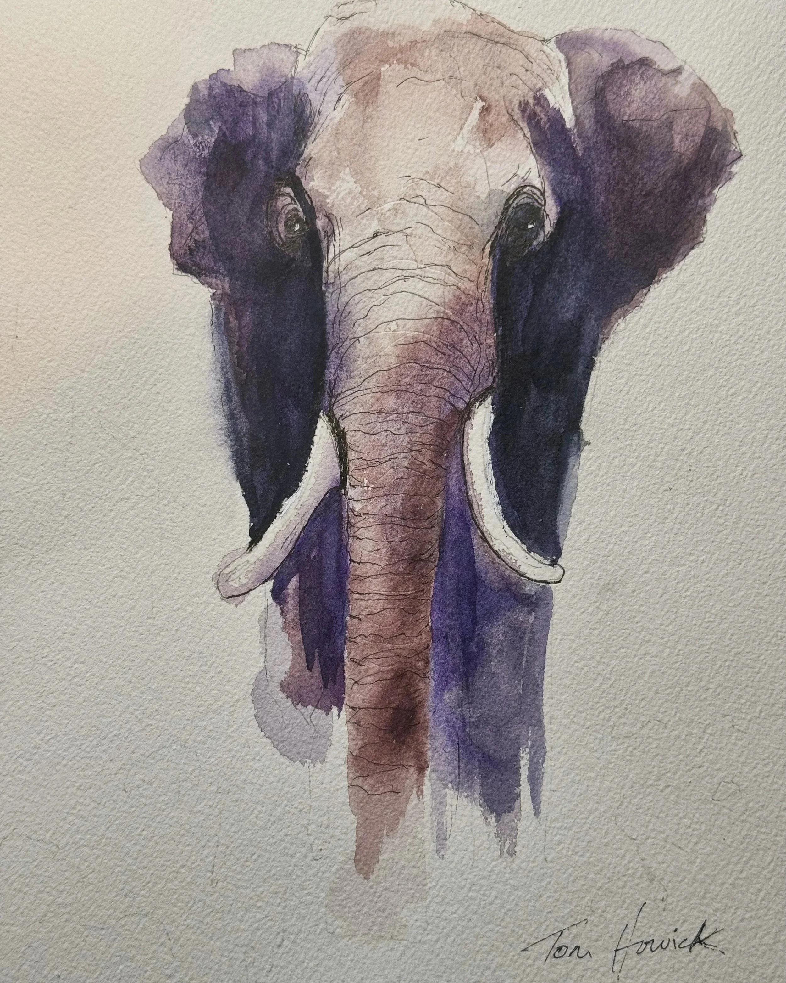 Asian Elephant (print)