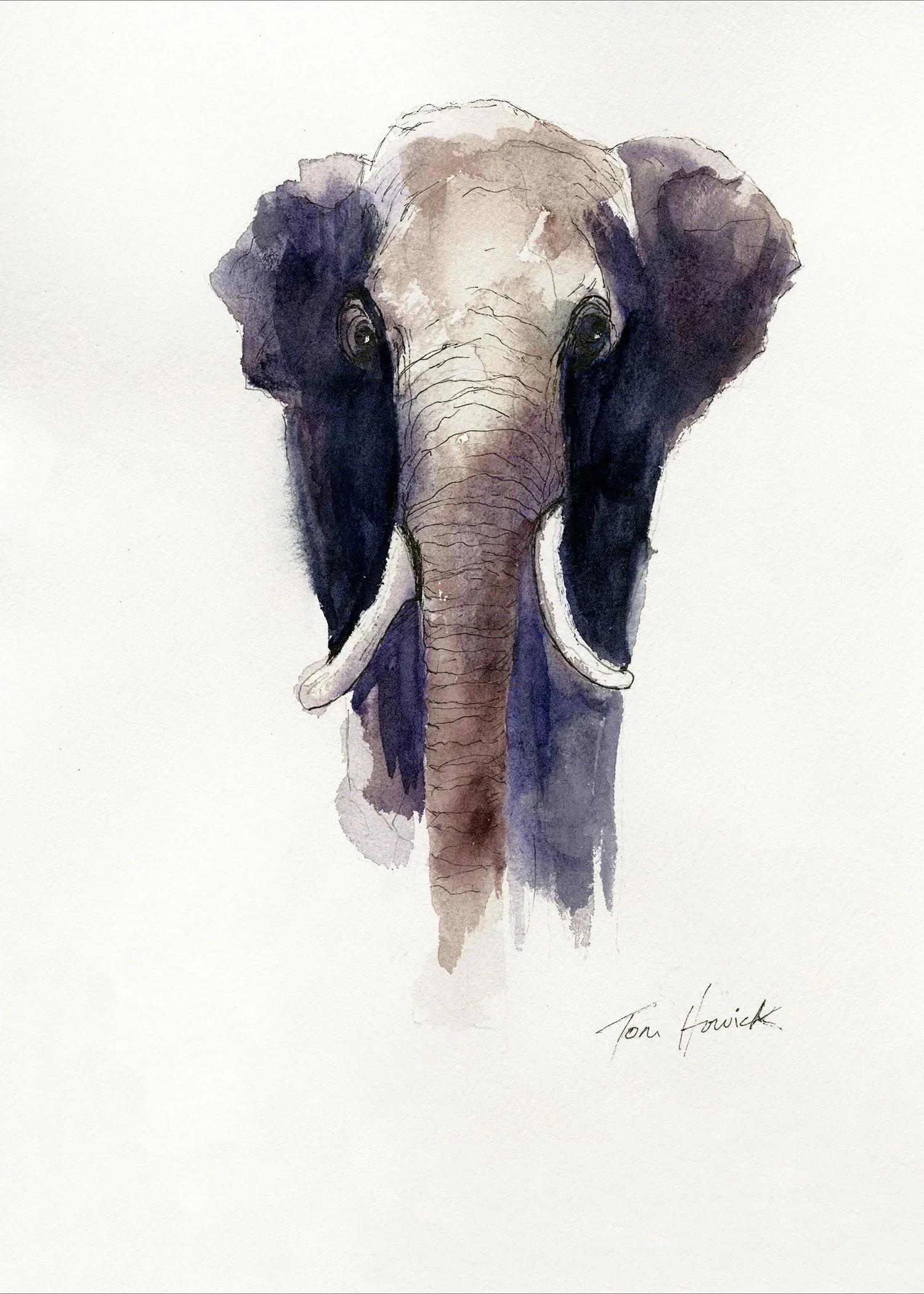 Elephant.jpg