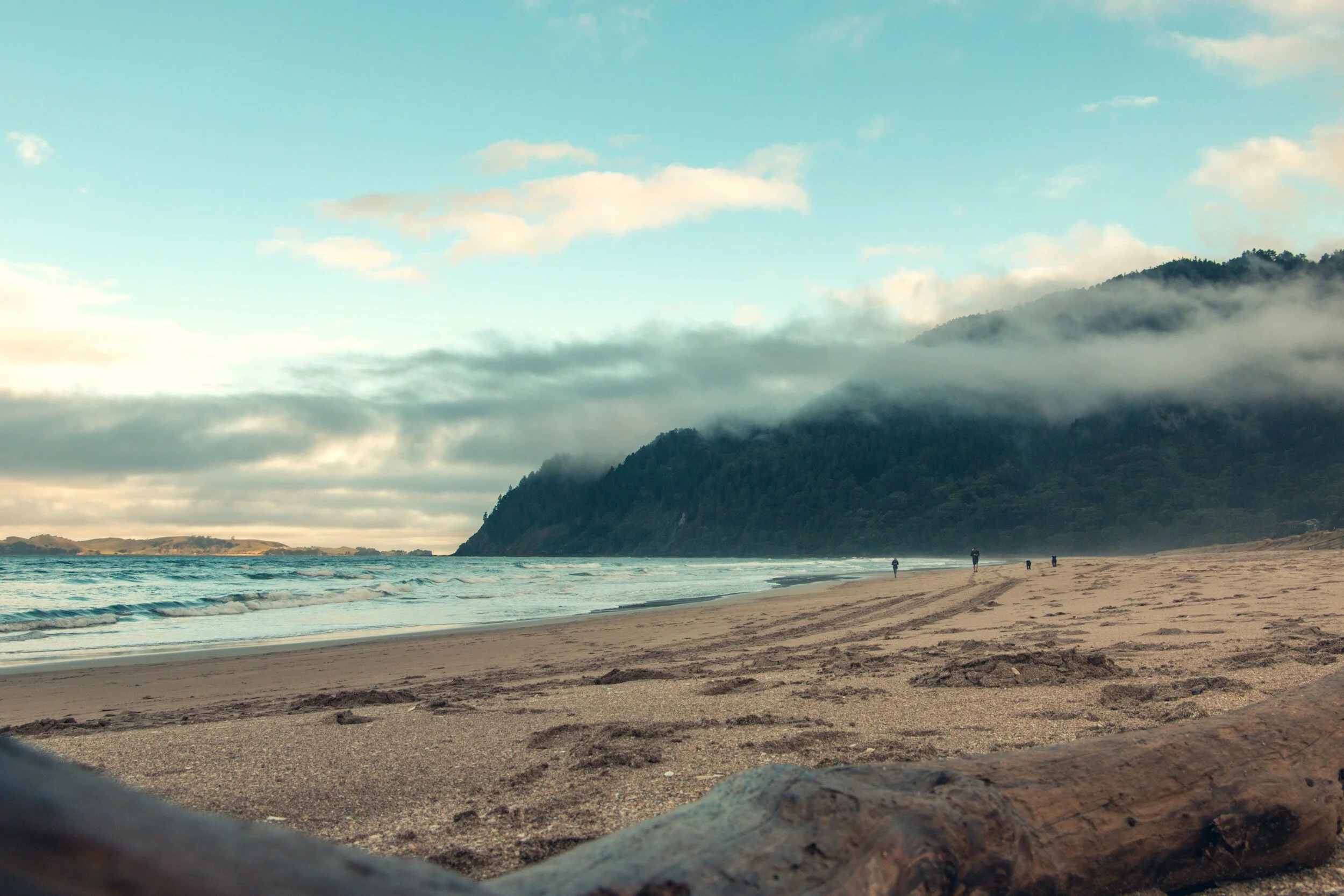 Club History — Pauanui Club