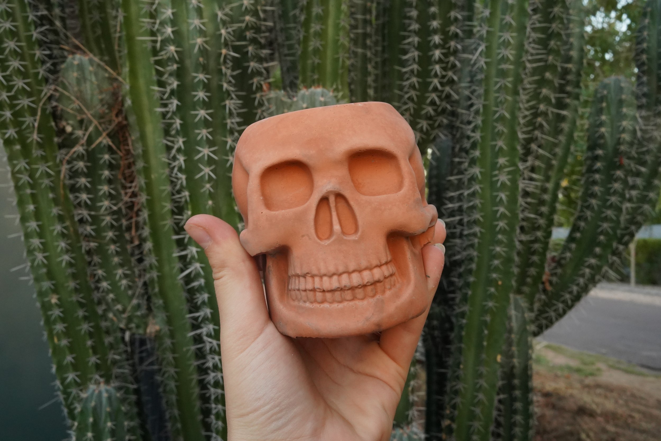 Skull Planter