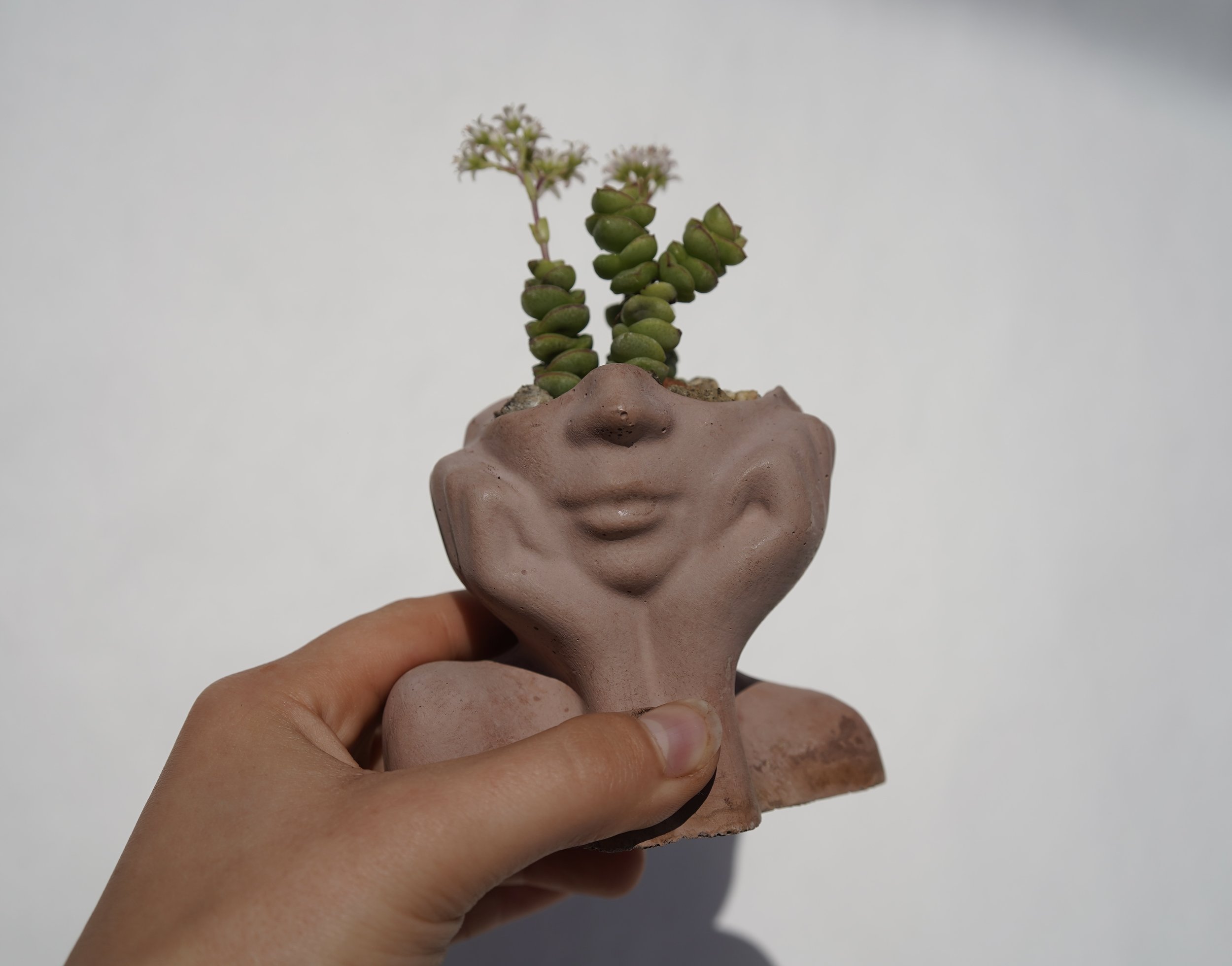 Dreamer Planter