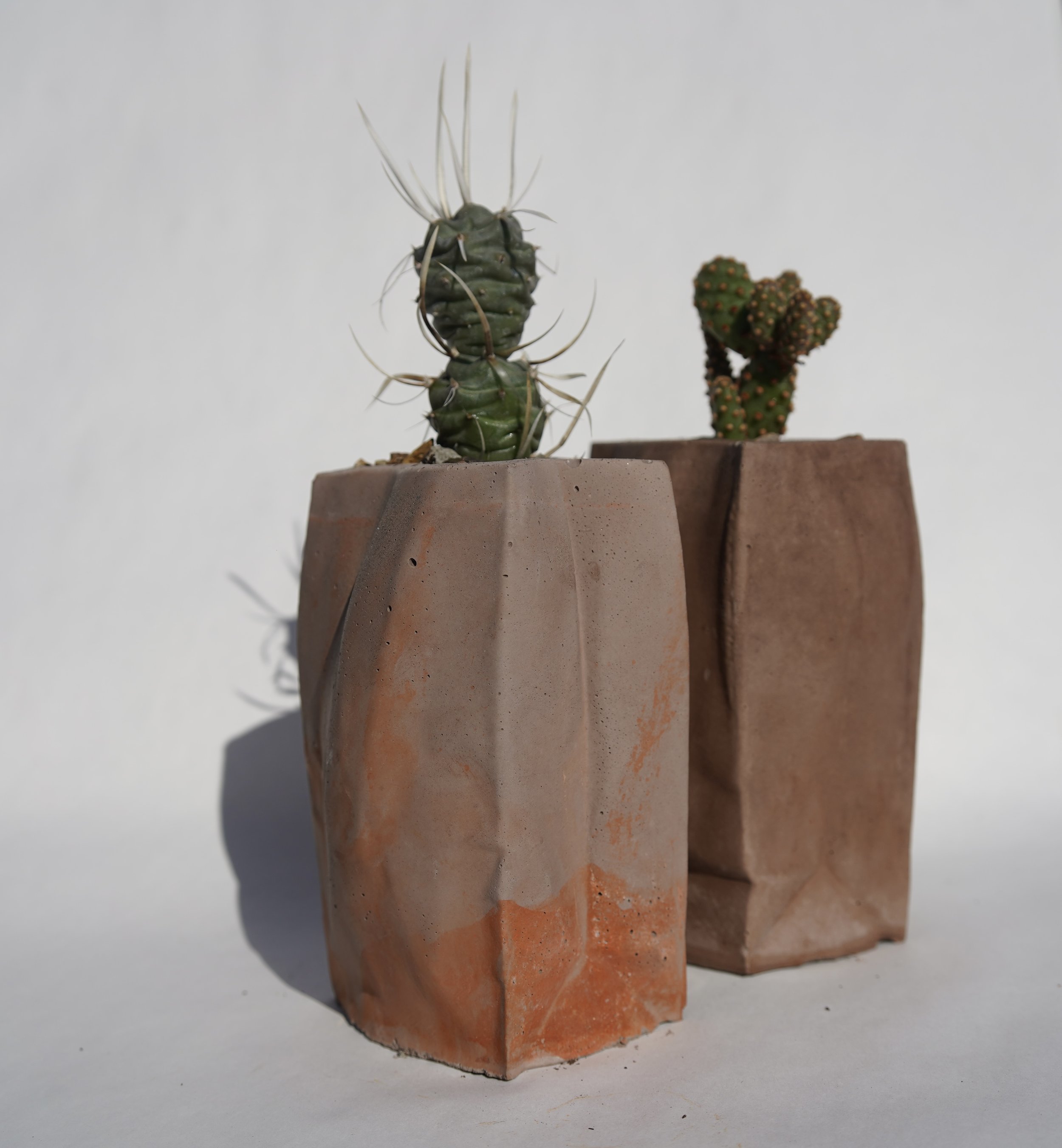 Paper Bag Planter