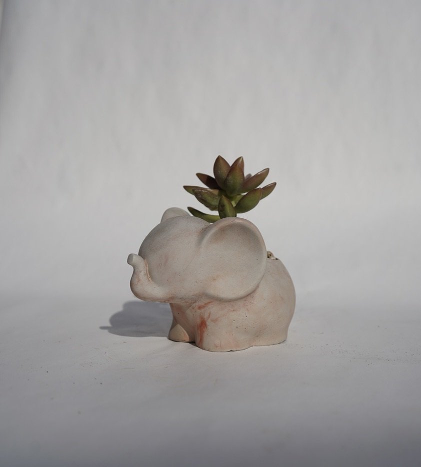 Elephant Planter
