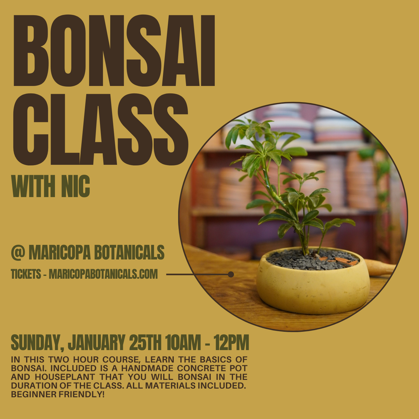 Bonsai Building Class