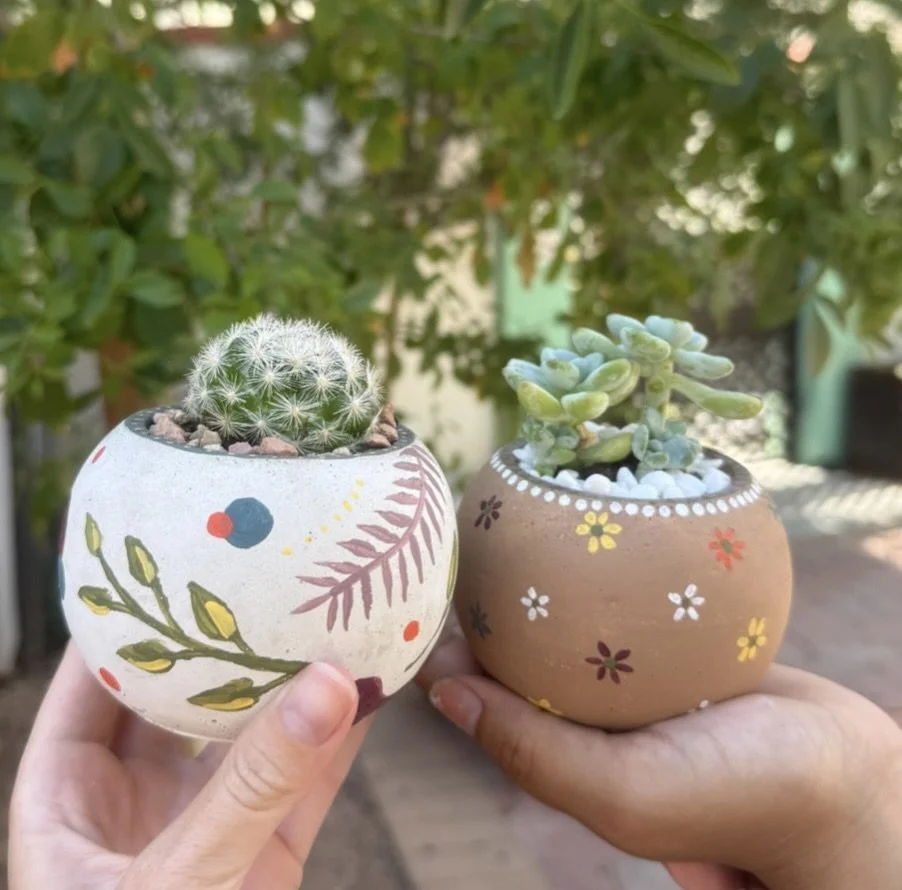 20833F49-AABC-4DD3-ABAB-63C6BEDF6D5D_1_201_a.jpeg (Copy)